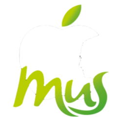 APPLEmus | Startseite Apple Mac Service & Support Stade